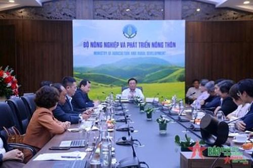 Việt Nam đặt mục tiêu xuất khẩu 500 nghìn tấn rong, tảo biển vào năm 2030