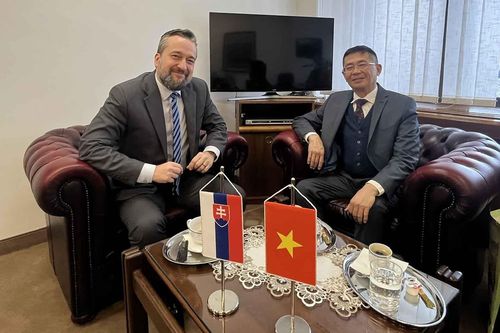 Thúc đẩy quan hệ trên nhiều lĩnh vực với Slovakia
