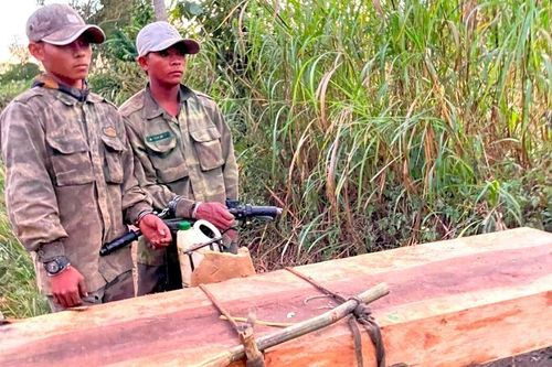 Bắt quả tang nhóm đối tượng dùng xe độ chuyển gỗ trái phép