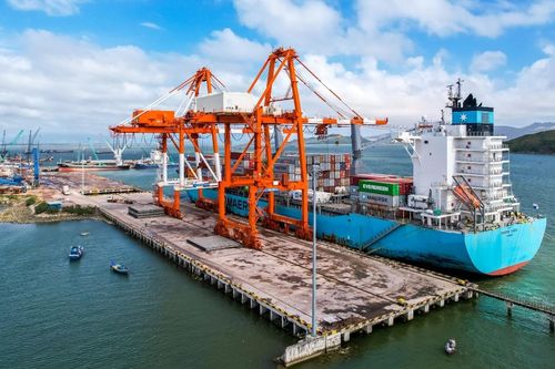 Hơn 40 triệu cổ phiếu của Cảng Quy Nhơn chào sàn HSX