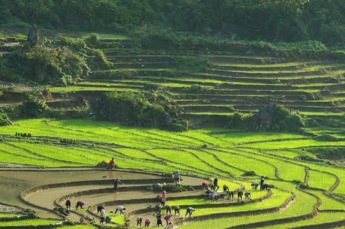 Làm mới hình ảnh, chinh phục mục tiêu đón 8,5 triệu lượt khách đến với Lào Cai