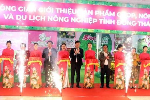 Không gian giới thiệu sản phẩm OCOP tỉnh Đồng Tháp tại Hà Nội: Khơi dậy tiềm năng sản vật