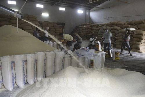 Indonesia cần nhập khẩu 500.000 tấn gạo trong quý I/2024
