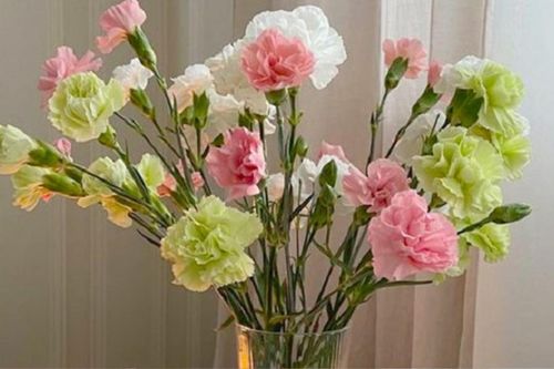 Những loại hoa đẹp mấy không cắm ngày Tết kẻo rước xui xẻo, hao tài tốn lộc trong năm mới