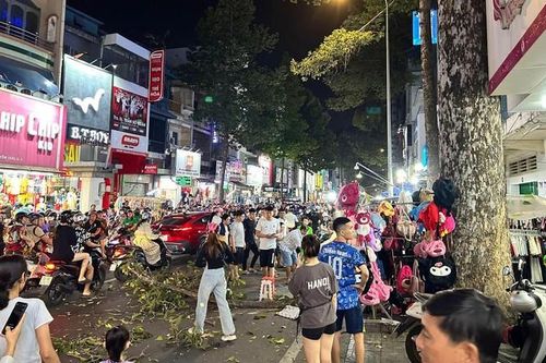 TPHCM: Nhánh cây rơi xuống đường, 1 người nguy kịch