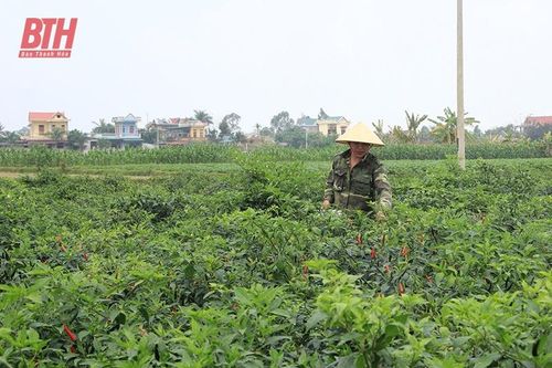 Lấy tiêu chí sản xuất làm nòng cốt XDNTM nâng cao