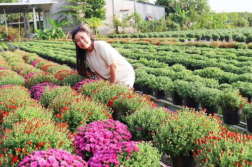 Nô nức chụp ảnh Tết - Rộn ràng đón Xuân