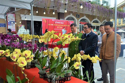 60 gian hàng tham gia Chợ hoa tết Him Lam Plaza lần thứ nhất