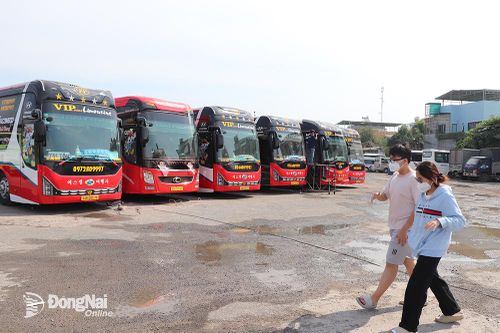 Nhộn nhịp hoạt động xe tết