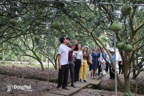 Huyện Vĩnh Cửu: Tăng quảng bá, xúc tiến du lịch cho huyện chiến khu