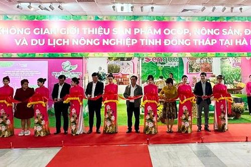 Khai trương Không gian giới thiệu sản phẩm OCOP nông sản, đặc sản và du lịch nông nghiệp tỉnh Đồng Tháp tại Hà Nội