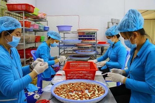 Chuẩn bị diễn ra Lễ đón nhận Di sản văn hóa phi vật thể Quốc gia nghề thủ công truyền thống 'Nghề làm Nem Lai Vung' và Khai mạc Ngày hội nông sản 2024