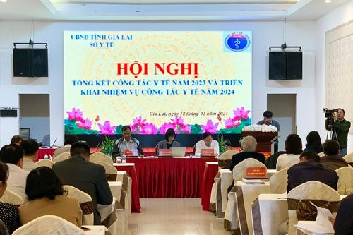 Phó Chủ tịch UBND tỉnh Nguyễn Thị Thanh Lịch: Triển khai thực hiện Đề án phát triển hệ thống y tế tỉnh đến năm 2030
