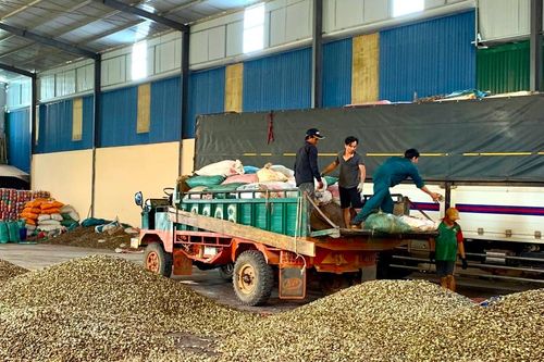 Gia Lai: Hoàn thiện hạ tầng khu công nghiệp, khu kinh tế để thu hút đầu tư