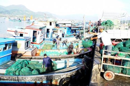 Nhộn nhịp trên cảng Đá Bạc