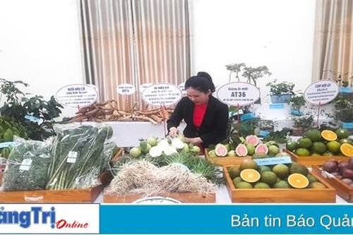 Tiếp tục nhân rộng các mô hình nông nghiệp tiêu biểu