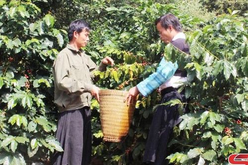 Hai khâu đột phá ở Đảng bộ xã Chiềng Nơi