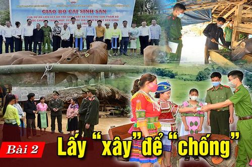 Bài 2: Lấy 'xây' để 'chống'