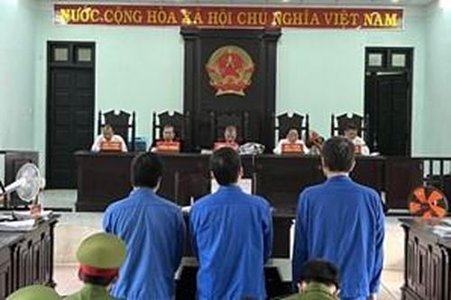 Lừa bán đất kiểu bán 'vịt trời', 3 bị cáo nhận 42 năm tù