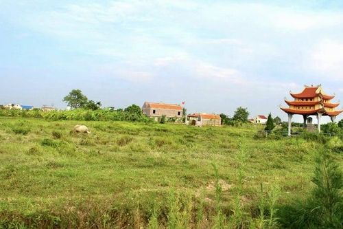 Hải Dương: 'Ôm đất' không triển khai, Công ty Vinamit bị kiến nghị thu hồi đất