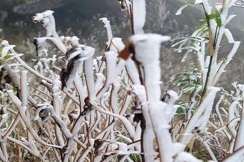 Bắc Bộ, Bắc Trung Bộ sắp rét đậm, rét hại 7-10 độ, kéo dài nhiều ngày