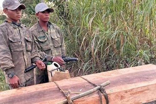 Tạm giữ 5 đối tượng tham gia cưa hạ 35 cây gỗ
