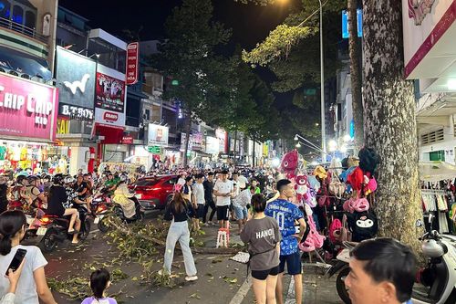 Người đàn ông bị nhánh cây rơi trúng đầu tử vong