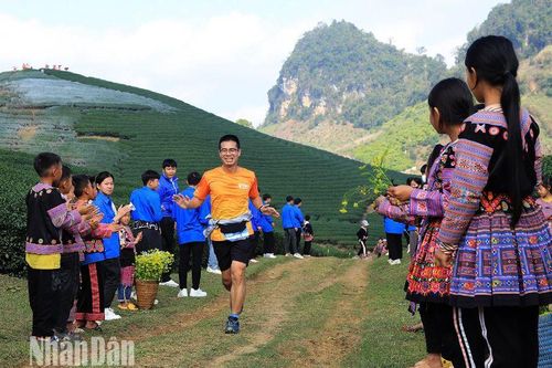 Hơn 4.000 vận động viên tham gia Giải chạy Marathon đường mòn Việt Nam