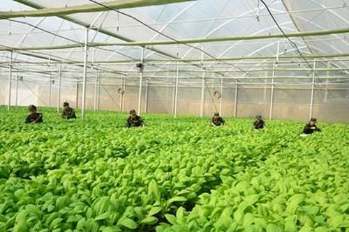Toàn quân phấn đấu hoàn thành tốt các mặt công tác-Bài 3: Vượt khó khăn, thực hiện thắng lợi công tác hậu cần