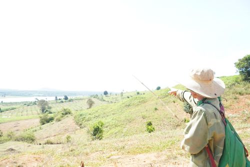 Bức tranh sống động về văn hóa tiền sử Tây Nguyên