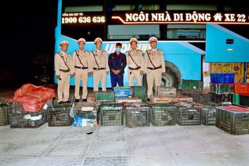 Nhiều động vật hoang dã trên xe giường nằm ở Quảng Trị