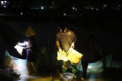 'Lộc trời' ở vùng quê xứ Nghệ