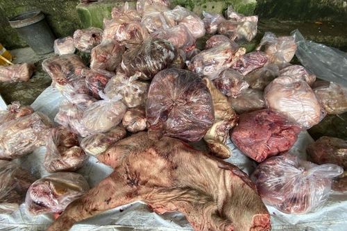 Kho thịt đông lạnh ở Huế có mẫu nhiễm khuẩn E.coli gấp 60 lần mức cho phép