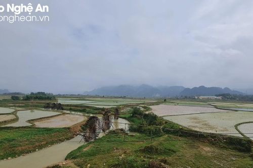 Nông dân Quỳ Châu vượt khó, chạy đua với thời vụ