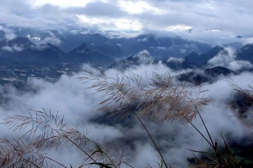 Lai Châu: Ngắm nhìn biển mây vô tận từ đỉnh Lao Tỷ Phùng