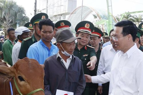 Chủ tịch nước tặng bò cho hộ nghèo tại 'Xuân biên phòng ấm lòng dân bản'