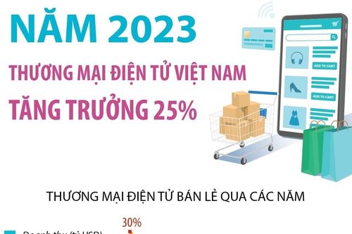 Năm 2023, thương mại điện tử Việt Nam tăng trưởng 25%