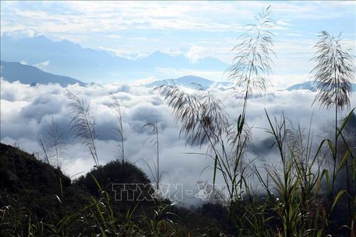 Lên Lai Châu săn mây ở Lao Tỷ Phùng