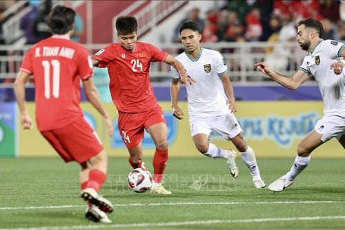 AFC Asian Cup 2023: Việt Nam thua sát nút Indonesia