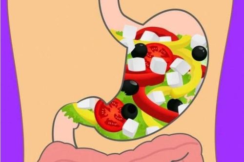 Các loại thực phẩm khác nhau mất bao lâu để tiêu hóa và tại sao đây lại là điều quan trọng mà ai cũng cần biết?