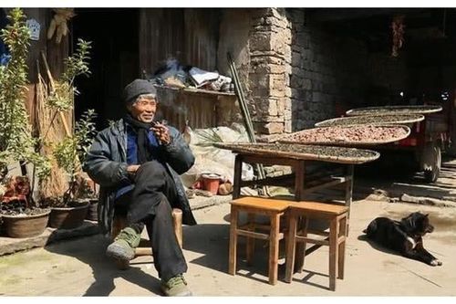 Mua bức tranh cổ ven đường với giá rẻ bèo, người đàn ông sững sờ khi được trả giá 69 tỷ đồng