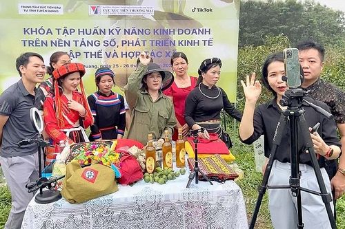Chuyển đổi số trong xúc tiến thương mại: Thúc đẩy sản xuất, xuất khẩu bền vững