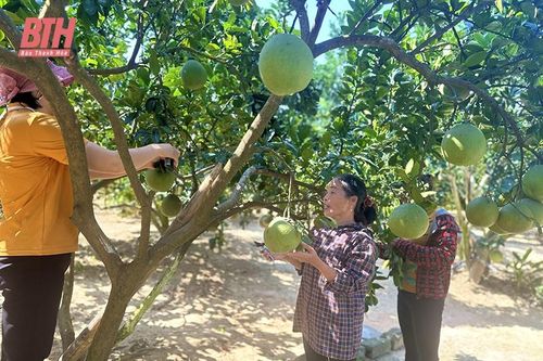 Hội Nông dân huyện Ngọc Lặc học Bác từ những việc làm cụ thể, thường xuyên