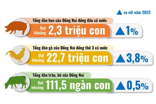 Dồi dào sản phẩm chăn nuôi cho thị trường Tết