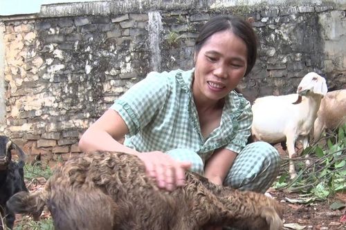 Đức Cơ: Hỗ trợ sinh kế giúp phụ nữ nghèo vươn lên trong cuộc sống