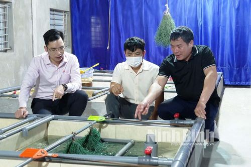 Kim Sơn: Nguồn vốn giải quyết việc làm tạo 'đòn bẩy' cho người dân phát triển kinh tế