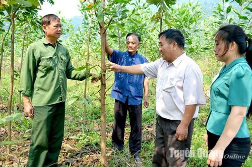 Chi trả dịch vụ môi trường rừng, khoán bảo vệ rừng trước Tết Nguyên đán