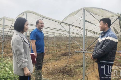 Cây, con nào 'trụ' lại với Đồng Tâm?