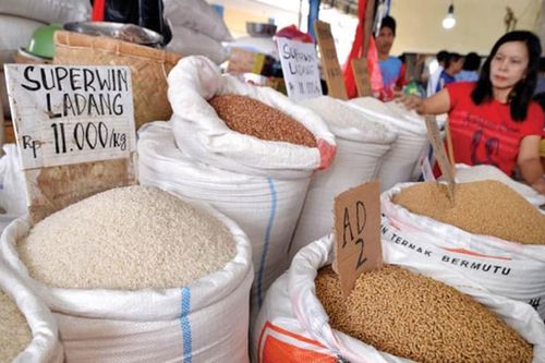 Indonesia mở thầu mua 500.000 tấn gạo