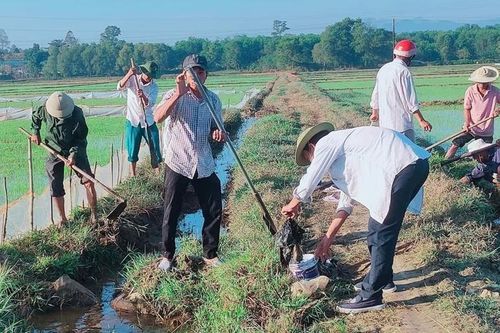 Nông dân Hương Trà diệt hàng trăm con chuột